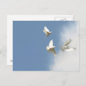 Fliegende weiße Tauben Postkarte (Vorne/Hinten)