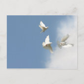 Fliegende weiße Tauben Postkarte (Vorderseite)