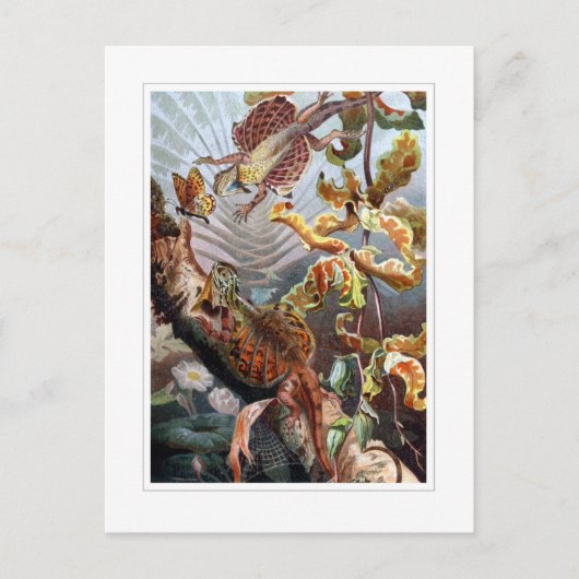 Fliegender Drache Postkarte (Vorderseite)