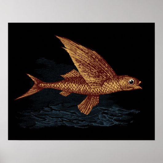 Fliegender Fisch Poster (Vorne)