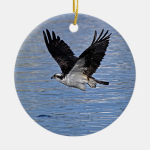 Fliegender Fischadler Osprey Naturfotografie Keramikornament