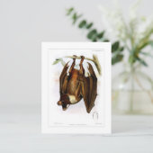 Fliegender Fuchs Postkarte (Stehend Vorderseite)