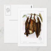 Fliegender Fuchs Postkarte (Vorne/Hinten)