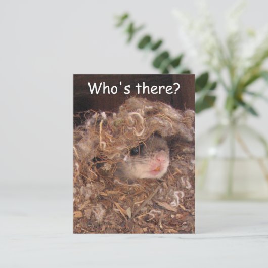 Fliegendes Eichhörnchen Postkarte (Stehend Vorderseite)