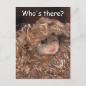 Fliegendes Eichhörnchen Postkarte (Vorderseite)