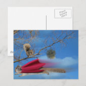 Fliegendes Eichhörnchen Postkarte (Vorne/Hinten)