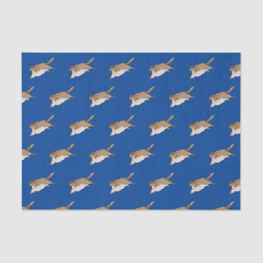 Fliegendes Fadenkreuz Seidenpapier (Vorderseite)