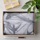 Fliegendes Fischgewebe Seidenpapier (Geschenk)