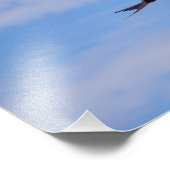 Fliegendes Fregatte-Foto Fotodruck (Ecke)