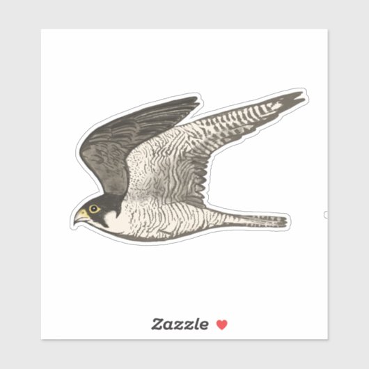 Fliegendes Peregrine Falken Farbige Stifte Kunst Aufkleber (Blatt)