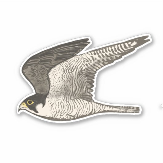 Fliegendes Peregrine Falken Farbige Stifte Kunst Aufkleber (Vorderseite)