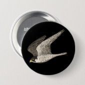 Fliegendes Peregrine Falken Farbige Stifte Kunst Button (Vorne & Hinten)