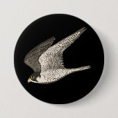 Fliegendes Peregrine Falken Farbige Stifte Kunst Button (Vorderseite)