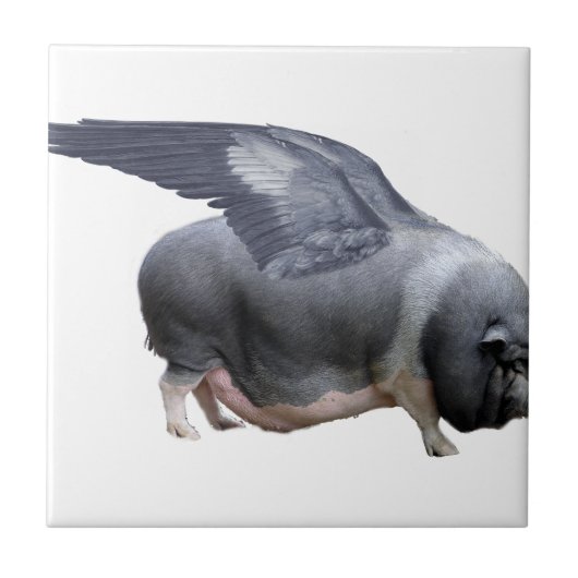 fliegendes Schwein Fliese (Vorderseite)