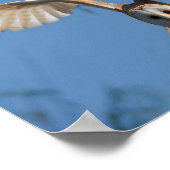 Fliegeneule Poster (Ecke)