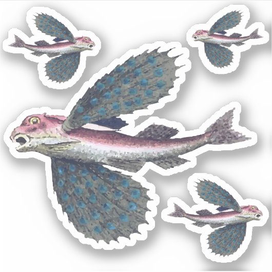 Fliegenfisch Aufkleber (Vorderseite)