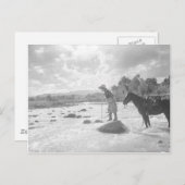 Fliegenfischen Frances Phelps Belden im Fluss Postkarte (Vorne/Hinten)