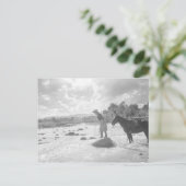 Fliegenfischen Frances Phelps Belden im Fluss Postkarte (Stehend Vorderseite)