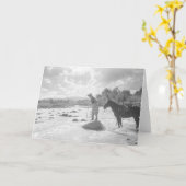 Fliegenfischen Frances Phelps Belden Karte (Gelbe Blume)