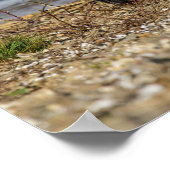 Fliegenfischerei Poster (Ecke)