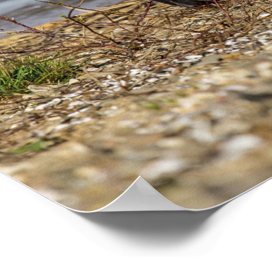 Fliegenfischerei Poster (Ecke)