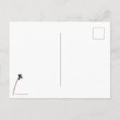 Fliegenhoch Postkarte (Rückseite)