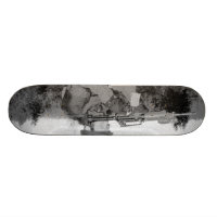 FLIEGENKLATSCHE u. MilitärSkateboard