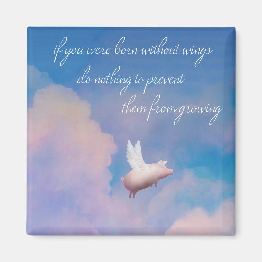 Fliegenmagnet Magnet (Vorne)