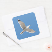 Fliegenmöve Quadratischer Aufkleber (Umschlag)