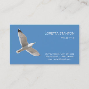Fliegenmöve Visitenkarte