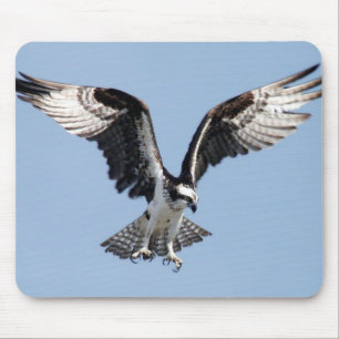 FliegenOsprey Mousepad