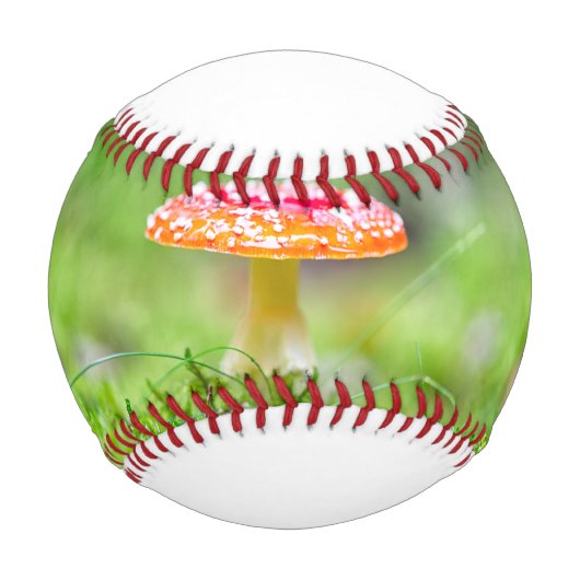 Fliegenpilz Baseball (Vorderseite)