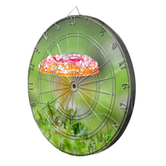 Fliegenpilz Dartscheibe (Vorderseite rechts)