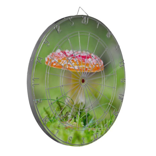 Fliegenpilz Dartscheibe (Vorderseite Links)