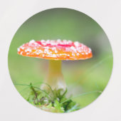 Fliegenpilz Etiketten (Design 2)