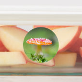 Fliegenpilz Etiketten (Befestigt)