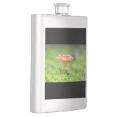 Fliegenpilz Flachmann (Rechts)