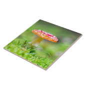Fliegenpilz Fliese (Seite)