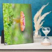 Fliegenpilz Fotoplatte (Seite)