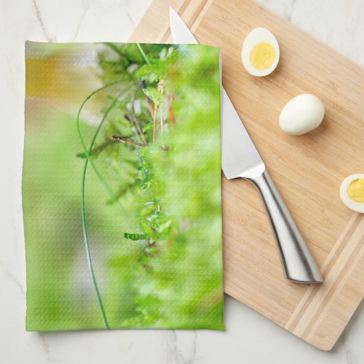 Fliegenpilz Geschirrtuch (Viertel Falte)