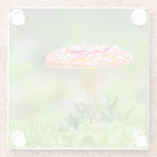 Fliegenpilz Glasuntersetzer (Rückseite)