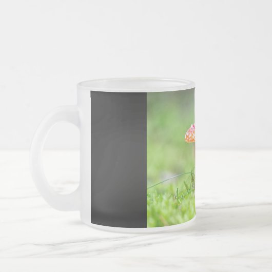 Fliegenpilz Mattglastasse (Links)