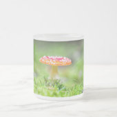 Fliegenpilz Mattglastasse (Mittel)