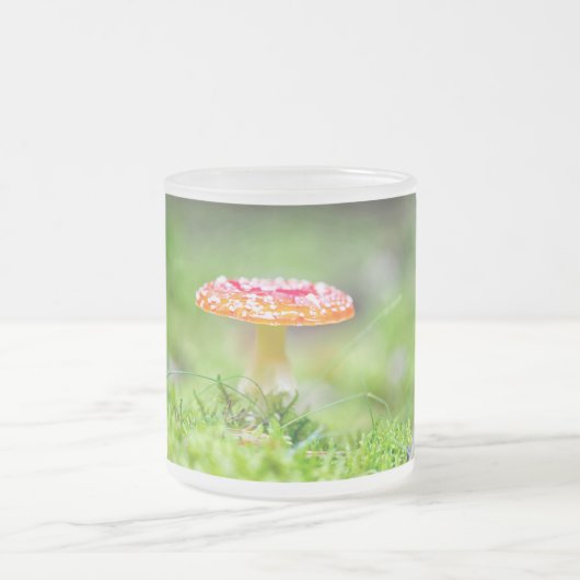 Fliegenpilz Mattglastasse (Mittel)