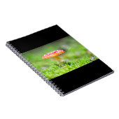 Fliegenpilz Notizblock (Rechte Seite)