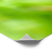 Fliegenpilz Poster (Ecke)