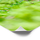 Fliegenpilz Poster (Ecke)