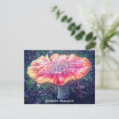 Fliegenpilz Postkarte (Stehend Vorderseite)