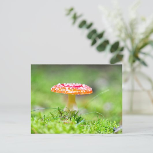 Fliegenpilz Postkarte (Stehend Vorderseite)