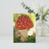 Fliegenpilz Postkarte (Stehend Vorderseite)